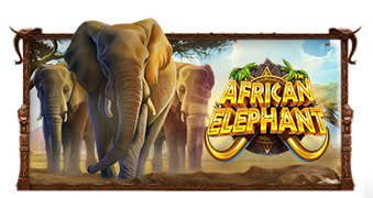 Play African Elephant online - Pragmatic Play - Black Dragon Lab