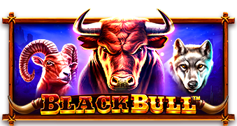 Play Black Bull online - Pragmatic Play - Black Dragon Lab