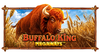 Play Buffalo King Megaways online - Pragmatic Play - Black Dragon Lab