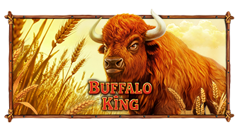 Play Buffalo King online - Pragmatic Play - Black Dragon Lab