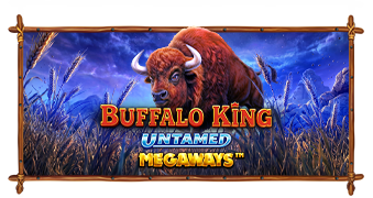 Play Buffalo King Untamed Megaways online - Pragmatic Play - Black Dragon Lab