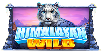 Play Himalayan Wild online - Pragmatic Play - Black Dragon Lab