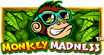 Play Monkey Madness online - Pragmatic Play - Black Dragon Lab