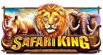 Play Safari King online - Pragmatic Play - Black Dragon Lab