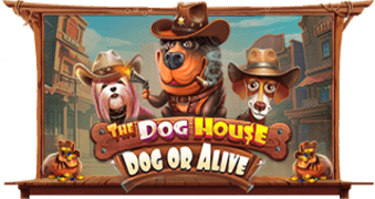 Play The Dog House - Dog or Alive online - Pragmatic Play - Black Dragon Lab