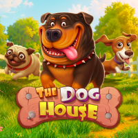 Play The Dog House online - Pragmatic Play - Black Dragon Lab
