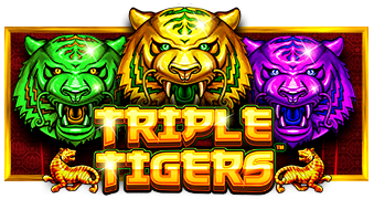 Play Triple Tigers online - Pragmatic Play - Black Dragon Lab