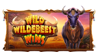 Play Wild Wildebeest Wins online - Pragmatic Play - Black Dragon Lab