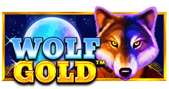 Play Wolf Gold online - Pragmatic Play - Black Dragon Lab