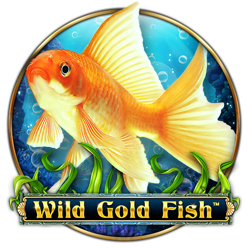 Play Wild Gold Fish online - Spinomenal - Black Dragon Lab
